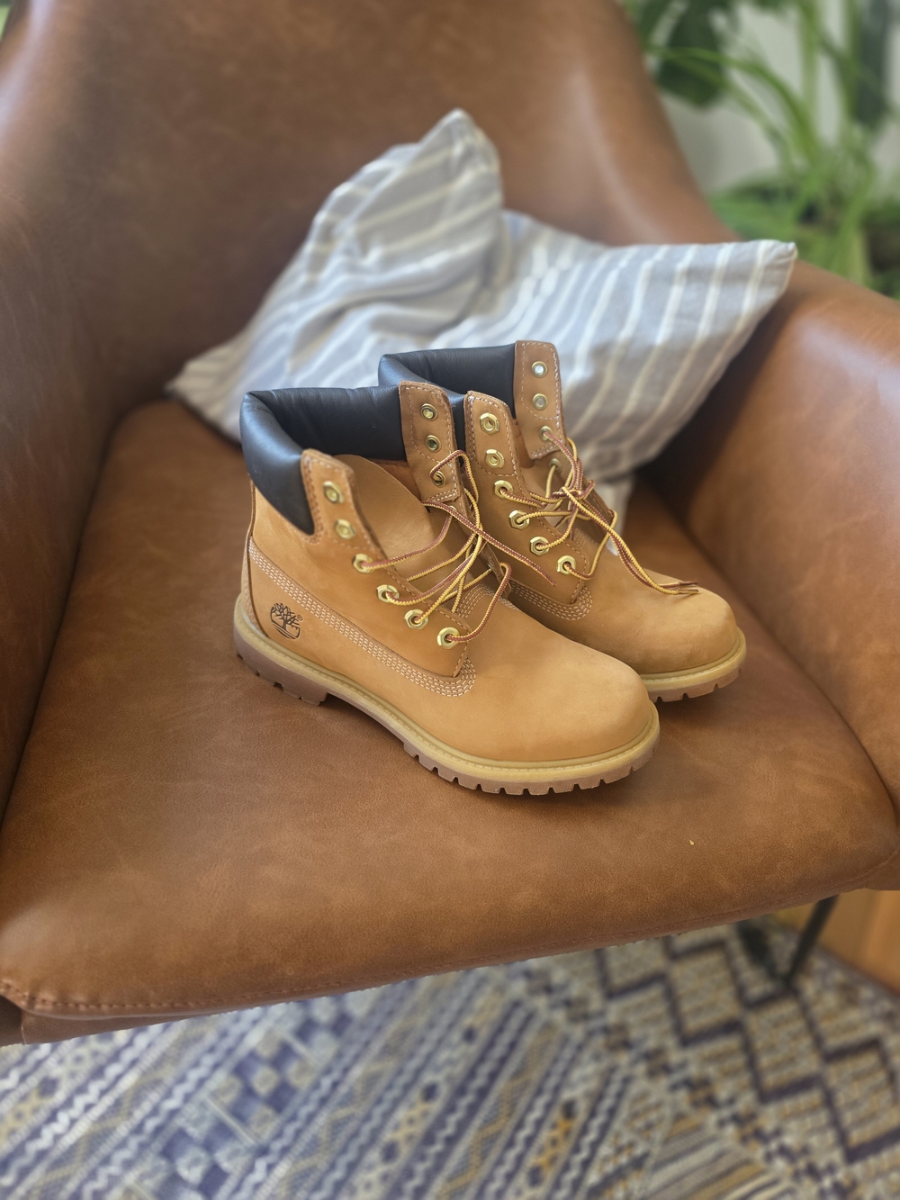 Timberland Classic Wheat Nubuck 6-Inch Boots